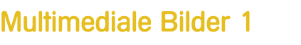 Multimediale Bilder 1